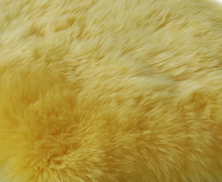 Yellow New Zealand Natural Sheepskin Rug Photo 2