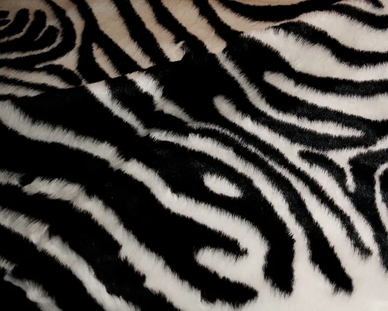 Zebra Black And White Print Area Rug Photo 2