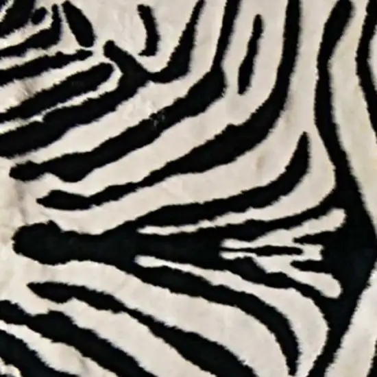 Zebra Black And White Print Area Rug Photo 5