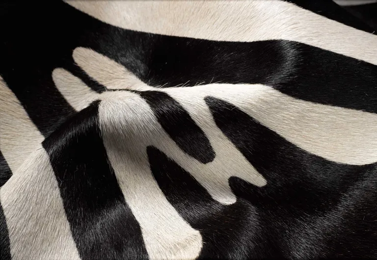 Zebra Stripe Black and White Natural Cowhide Area Rug Photo 2