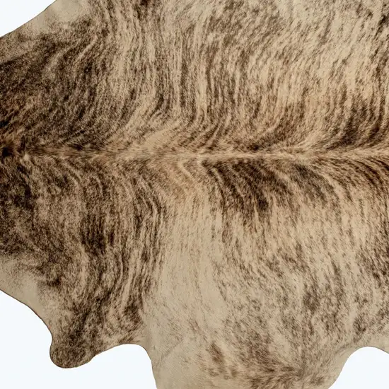 Zebu Cowhide - Rug Photo 5